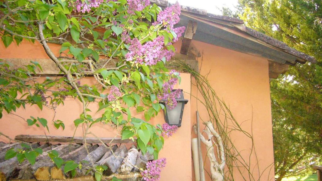 La Maison De Melen Moustiers-Sainte-Marie Zewnętrze zdjęcie